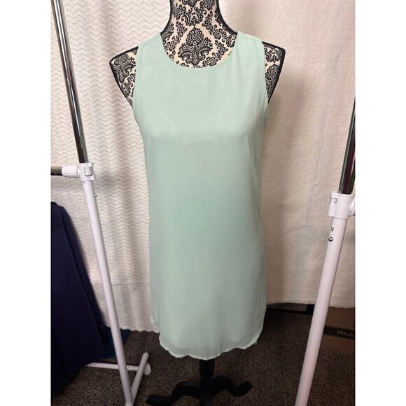 BN #15 NWT Naked Zebra Sleeveless Mint Green Shift Dress Size S - Picture 4 of 6
